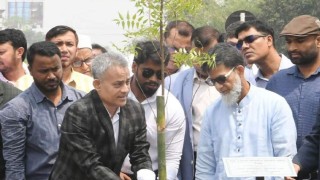 দেশজুড়ে বৃহৎ পরিসরে বৃক্ষরোপণ শুরু করলো সড়ক বিভাগ
