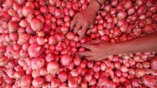 ফের পেঁয়াজ রপ্তানি করবে ভারত