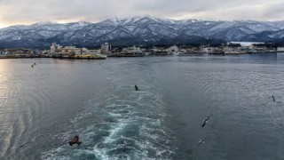 জাপানে সুনামির আঘাত, দেড় ঘণ্টায় ২১ বার কম্পন